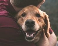 Planning for Your Pet’s Future